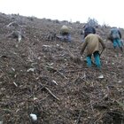 20112308130806-495.jpg